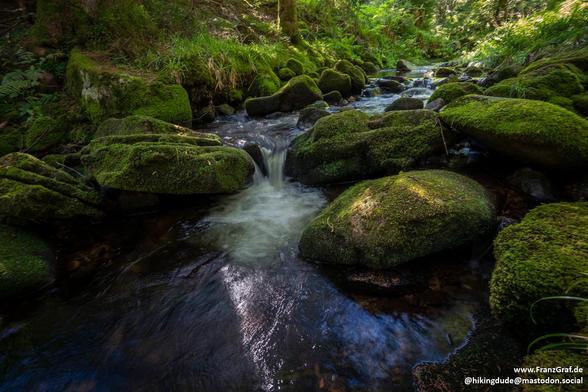 A serene landscape featuring a river flowing gently through moss-covered rocks and surrounded by lush green trees. The image showcases the beauty of nature, with the black foreground and background setting a peaceful and calming atmosphere.