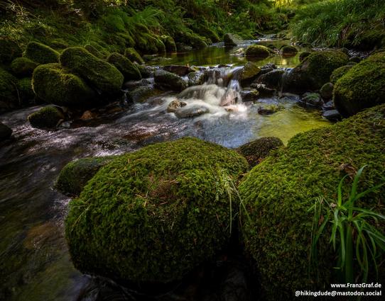 A serene landscape featuring a stream winding through moss-covered rocks. The water flows gently, creating a soothing sound that complements the peaceful atmosphere. The rocks are adorned with various shades of green moss, adding a touch of vibrancy to the scene. The surrounding area is lush with plant life, enhancing the natural beauty of the setting. This picturesque outdoor scene captures the essence of a tranquil watercourse in a pristine natural environment, perfect for relaxation and cont…