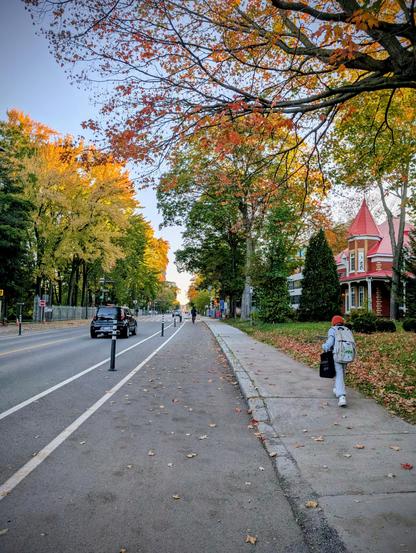 Imagen tomada a partir de la ciclovía, temprano de mañana. Una persona pasa por la banqueta caminando, otra en bicicleta y alguien más en carro. A la derecha hay una casona de techo rojo y un arce de colores de otoño que empieza a perder sus hojas. Del otro lado, el resto de la avenida y una línea de árboles verdosos - rojizos - amarillos.