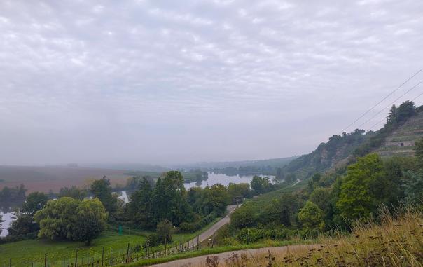 Die Neckarkurve vor Lauffen und am Krappenfelsen. Auf der Panoramstraße eine Etage tiefer. Diesiges Wetter.