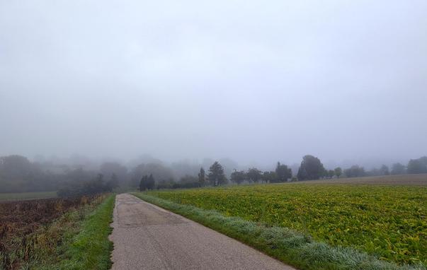 Leichter Nebel vor dem Leuchtmannshof bei Neckarwestheim.