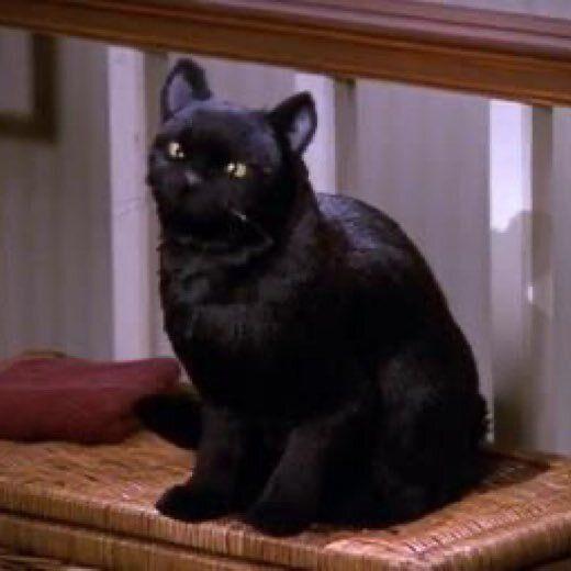 A still image of Salem, the black animatronic cat from the TV show "Sabrina the Teenage Witch." He is sitting upright on a wicker chest, looking slightly to the left with his yellow eyes.