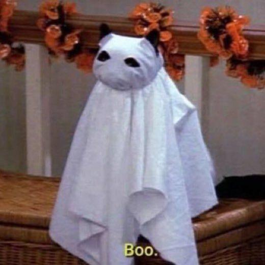 Salem the cat is dressed in a simple ghost costume made of a white sheet with eyeholes. His black ears stick out from the top of the sheet. He is sitting on a wicker chest in front of a railing decorated with a Halloween garland. The word "Boo." is subtitled at the bottom.