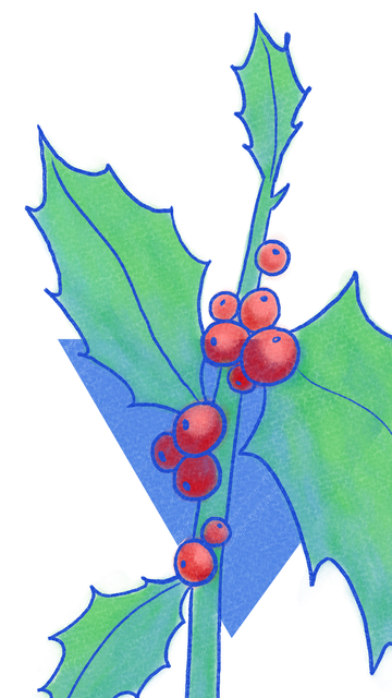 Ilustración a línea azul y mancha a color de una rama de acebo (con sus frutos rojos y sus hojas puntiagudas). Detrás, aparece un triángulo equilátero azul apuntando con su vértice hacia abajo.
