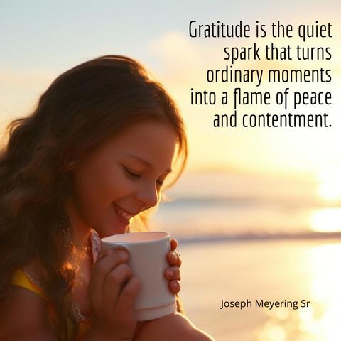 Gratitude is the quiet spark that turns ordinary moments into a flame of peace and contentment.