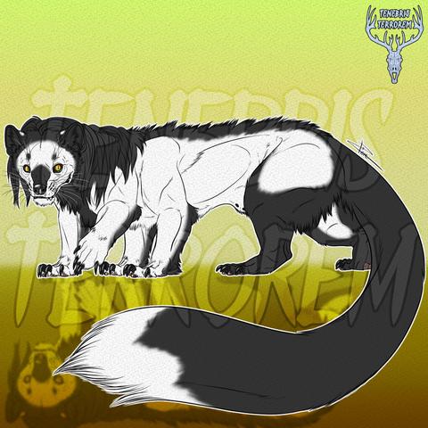 Drawing of a mustelid like hexapod creature with black and white fur and bright yellow eyes.
