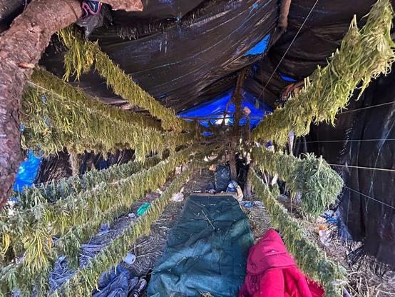 Una de les construccions de la plantació de marihuana a Fulleda (Mossos d'Esquadra)