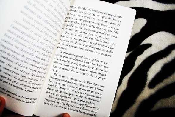 Livre RETOUR A LA VIE Raoul Vaneigem 7€