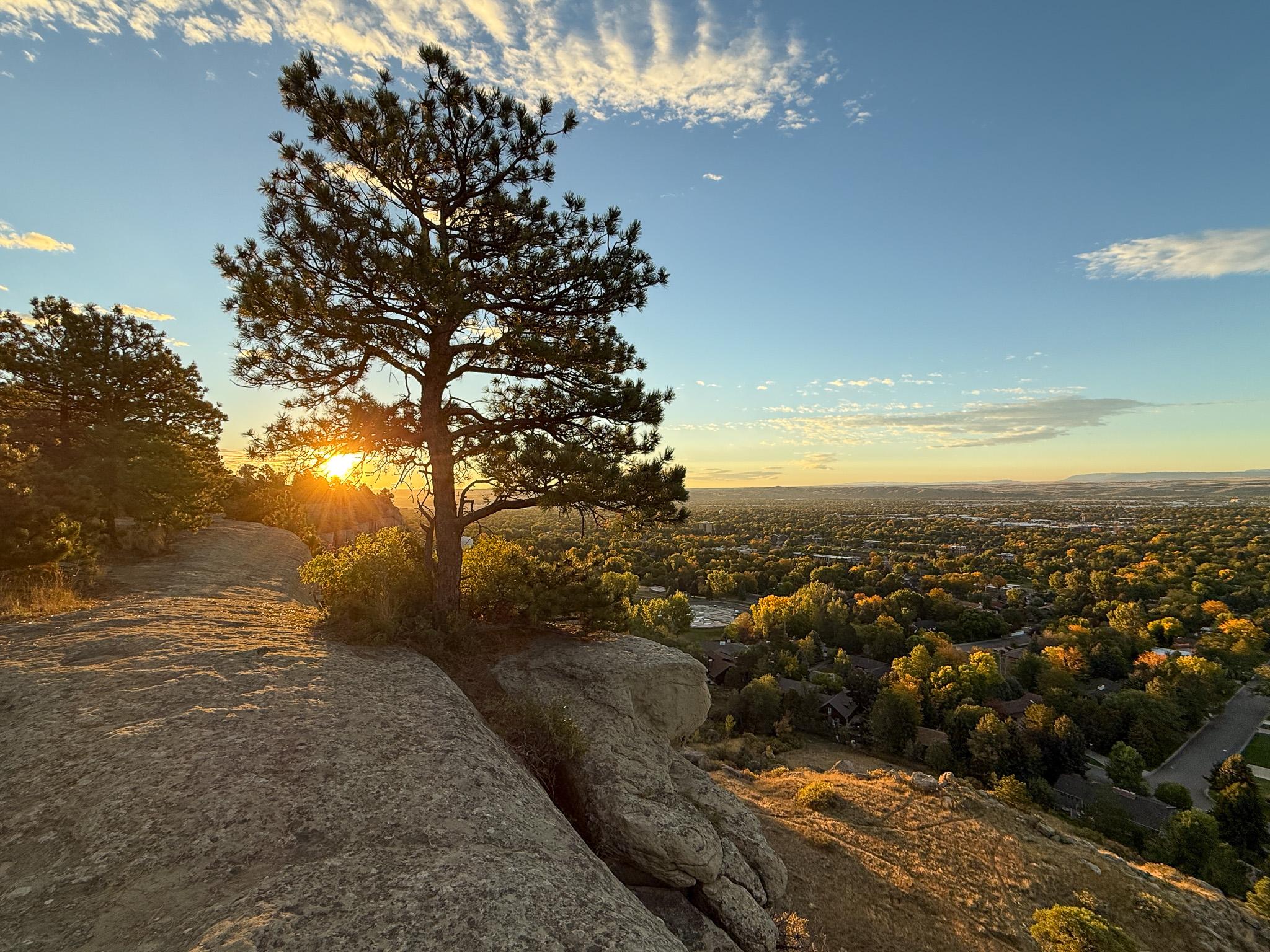view from a tall rock formation of sun rising behind a pine tree, over a broad plain of green and yellow trees uder a blue sky