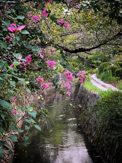 philosophy path kyoto
