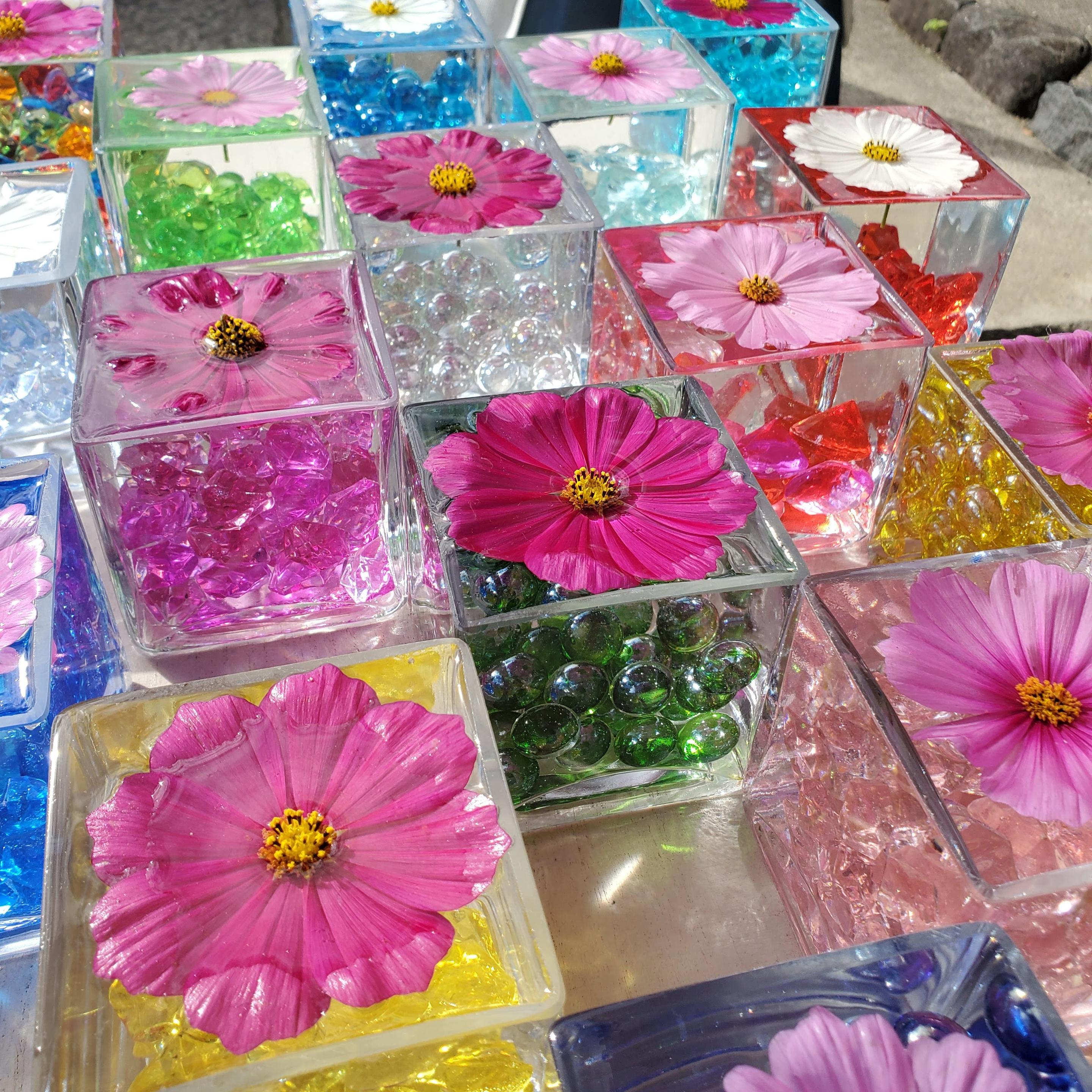 In the grounds of Hannya-ji during autumn there are various 'displays' of cosmos.