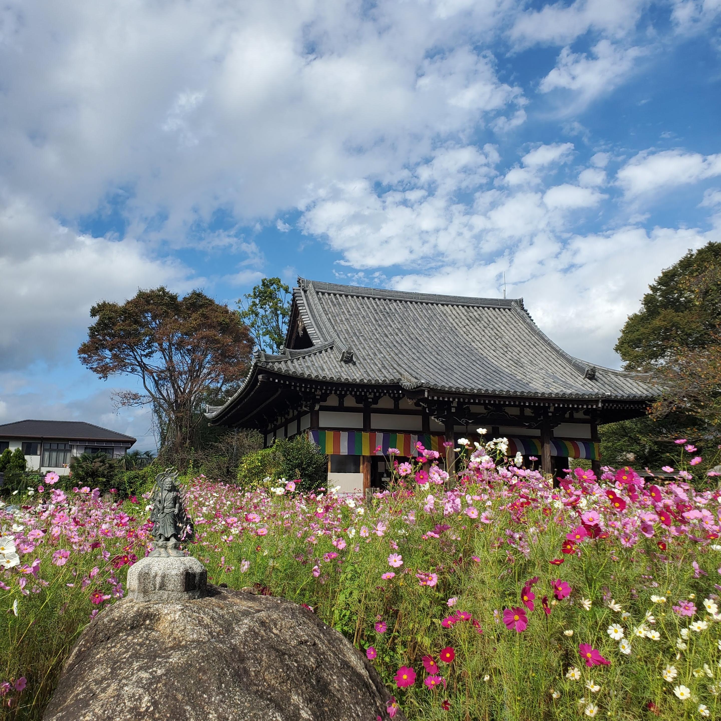 Fudo Myoo and the main hall of Hannya-ji.