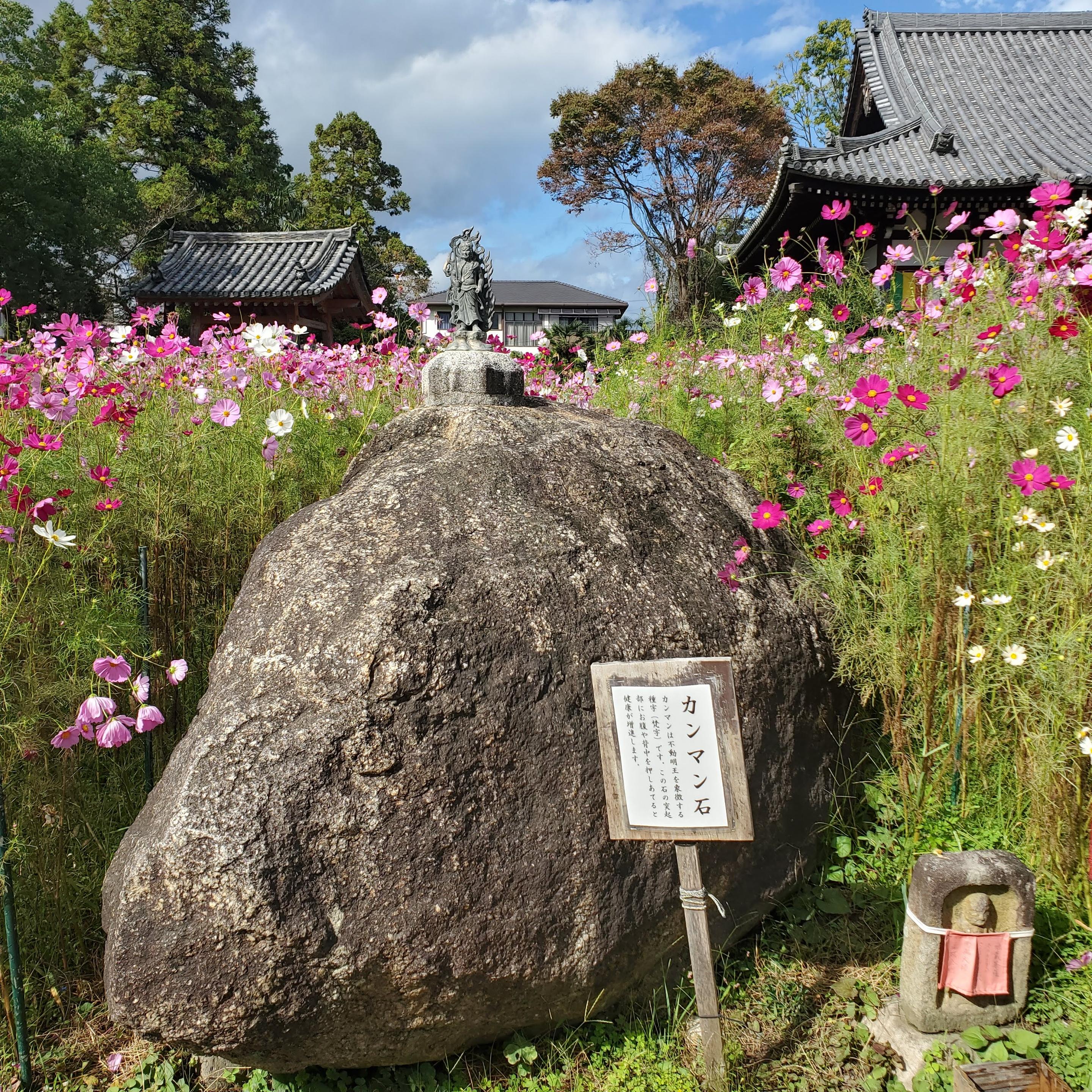 A small statue of Fudo Myoo stands on top of 'Kanman-ishi', a large rock in the grounds of Hannya-ji.
