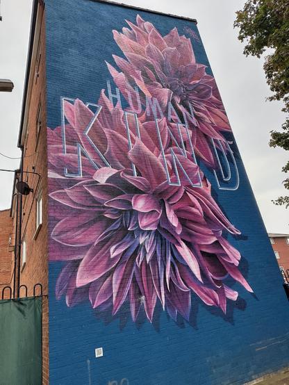 Human Kind mural, St Paul's, Worcester