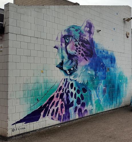 Leopard mural, Spring Gardens, Worcester