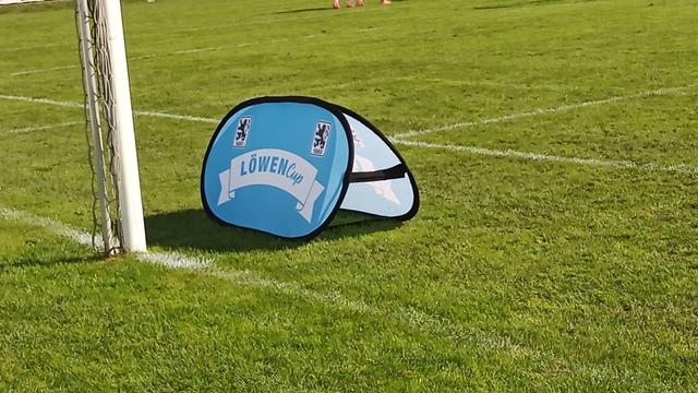 Ein blauer, dreieckiger Banner steht auf einem grünen Rasen. Der Banner ist aufrecht stehend, wobei die Spitze nach oben zeigt. Der Banner ist aus blauem Material mit einem schwarzen Rand gefertigt und hat eine weiße Form darin. Auf dem Banner steht in weißer Schrift "LÖWENCup" und darunter eine kleinere Abbildung eines Löwen. Der Banner befindet sich in der Nähe einer weißen Fußballtorpfostenbasis. Die gesamte Szene wird in Tageslicht aufgenommen, wobei der Rasen als Hintergrund dient.