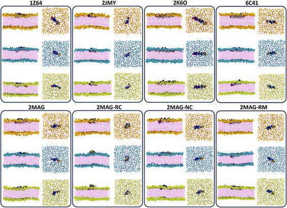 Unlocking the specificity of antimicrobial peptide interactions for membrane-targeted therapies. Computational and Structural Biotechnology Journal, DOI: https://doi.org/10.1016/j.csbj.2024.04.022
