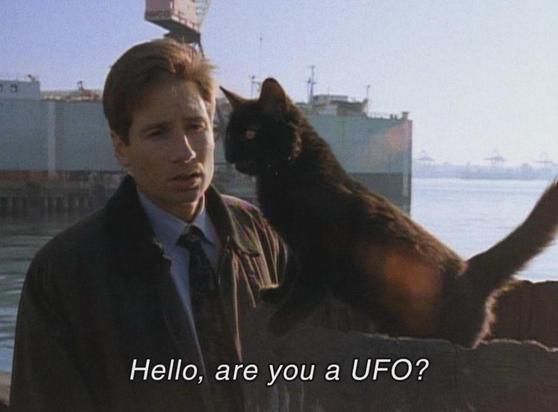 X-files screenshot, Mulder asking a cat "Hello, are you a UFO?"
