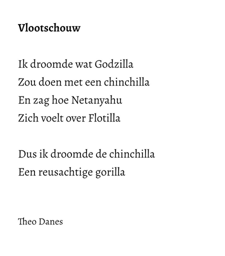 Vlootschouw  Ik droomde wat Godzilla Zou doen met een chinchilla  En zag hoe Netanyahu  Zich voelt over Flotilla  Dus ik droomde de chinchilla Een reusachtige gorilla   Theo Danes  