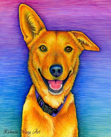 Pastel drawing of a mixed breed dog in bright colors.