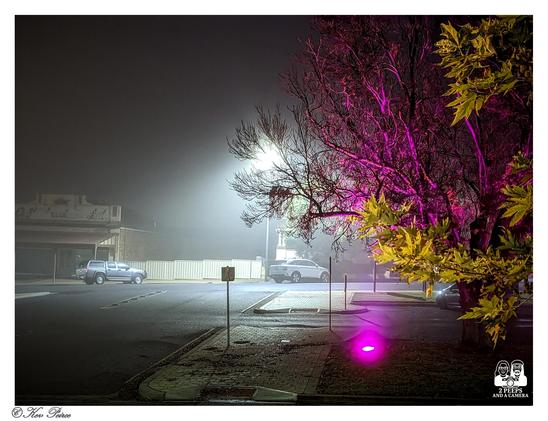 A moody, atmospheric photo of an empty street and parking lot in Loxton, Australia, on a foggy night. A very bright streetlight in the center is surrounded by a foggy halo.

The bare branches of a large tree on the right are illuminated by a vibrant, unnatural pink and purple light, contrasting with the yellowish leaves on the right edge.

A few parked cars are visible on the left and center-right. Signed by Kev Peirce.