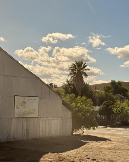View from the train of Town of San Miguel. Faded grey corrugated metal building with a palm tree behind it and a blue sky/fluffy white clouds