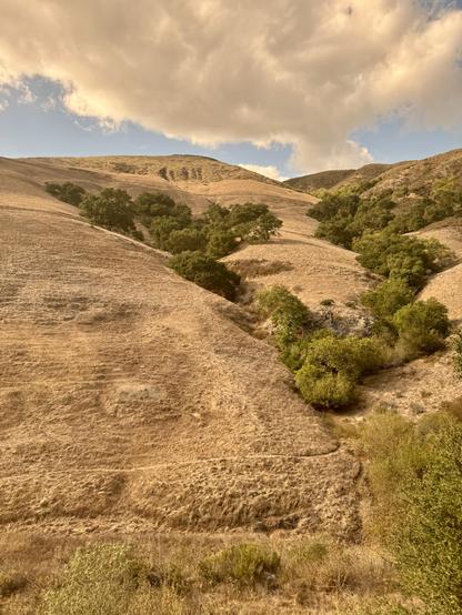 View from the train of yellow/brown hills north of San Luis Obispo with green trees and blue sky with fluffy white clouds.