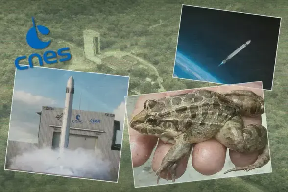Une grenouille rarissime mène le Centre national d’études spatiales au tribunal