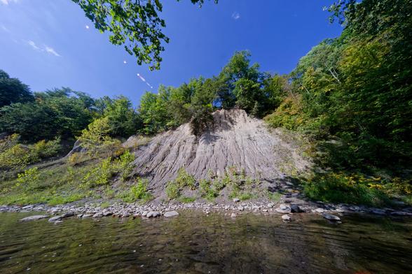 The bottom 20% of the image is the surface of a creek with ripples on top and rocks below, and above that a cliff of eroded sand and gravel with bushes near the bottom and a thick mantle of trees at the very top