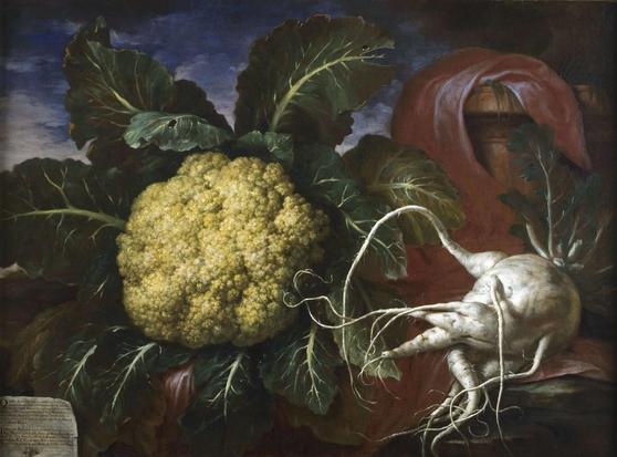 Cauliflower of Canon Venuti and Radish from the of the estate of Marquis Corsi
Oil on canvas, 88 x 118, Bartolomeo Bimbi, 1706
Museo di Storia Naturale, Villa Medicea di Poggio a Caiano, Prato, Tuscany