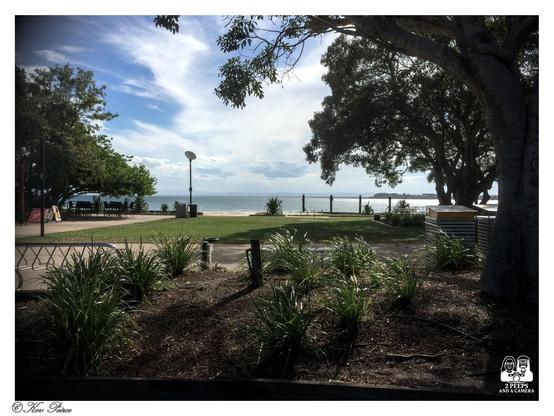 A wide angle photo of a grassy public park or foreshore area framed by large trees on the left and right.

The foreground features low, dark green native plants and shrubbery. In the center, a neatly mowed grass lawn slopes down to a protective barrier and the calm blue ocean.

A few tables and chairs are visible under the trees on the far left. The sky is bright with white, wispy clouds. Photo by Kev Peirce.
