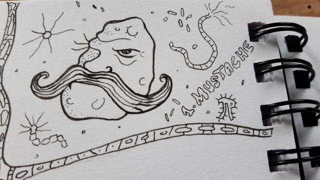 Un visage avec une moustache dans un  environnement cellulaire