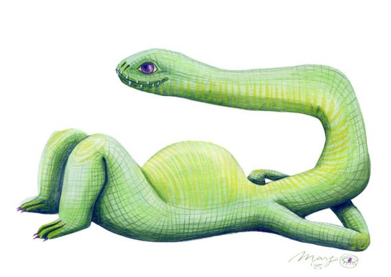 A green monster, that is a mix between a dragon and a salamander, is relaxing. He is lying on his back, his arms behind his very, very long neck, and looking around. Painted in gouache and afterwards worked on with coloured pencils, he lies on a white background. 