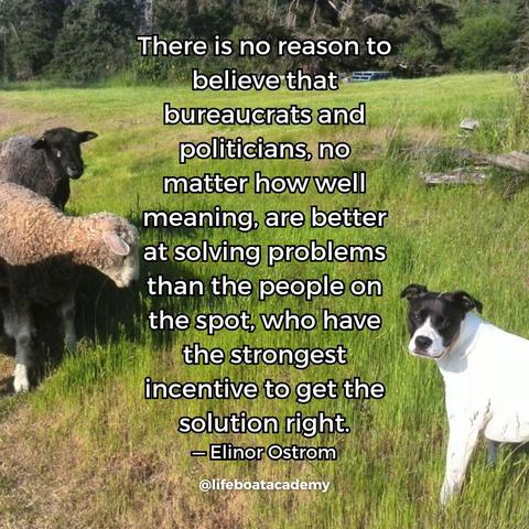 A social post from @lifeboatacademy which says: "There is no reason to believe that bureaucrats and politicians, no matter how well meaning, are better at solving problems than the people on the spot, who have the strongest incentive to get the solution right." — Elinor Ostrom