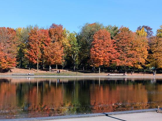 Les couleurs de l'automne