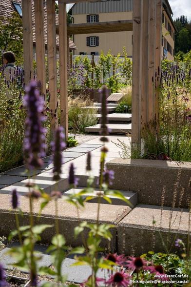 A serene walkway is depicted in this image, lined with a variety of plants and flowers in shades of purple and lavender. The path leads through a beautifully landscaped outdoor area, with a wooden structure visible in the background. The dominant colors in the scene are white and grey, creating a peaceful and harmonious atmosphere. A single plant is prominently featured in the foreground, adding a touch of green to the predominantly purple color scheme. This image captures the beauty of nature …