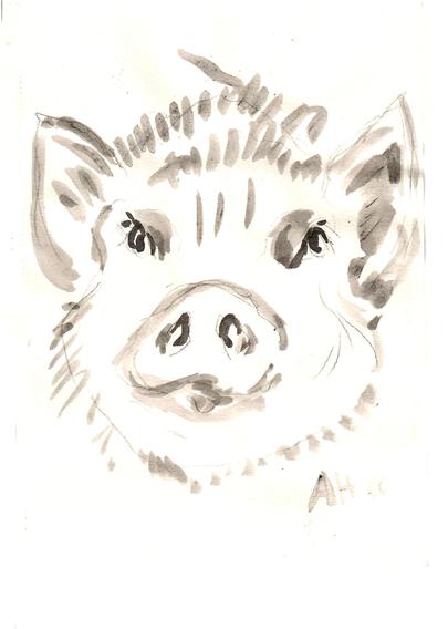 Portrait of a pig