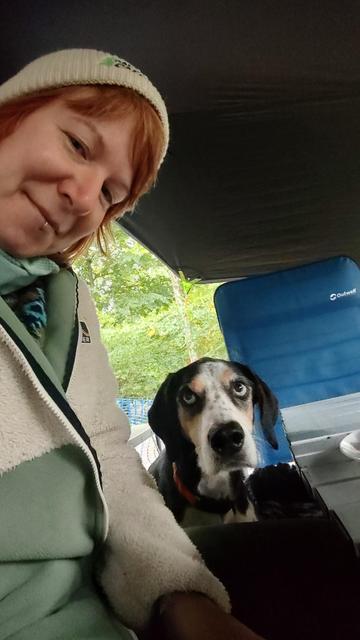 Hound mit blauen Augen schaut mich an. Ich schaue in die Kamera des Handys.