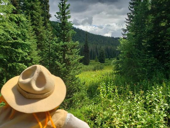 Ranger Sarah looks out at Glade Creek the site of the Corps of Discovery's camp on September 13, 1805 and their return on June 29, 1806.
— at Lolo Pass Visitor Center.