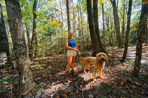 Woman wearing a blue shirt and white shorts is holding the leash of a poodle-like dog in a forest in early fall