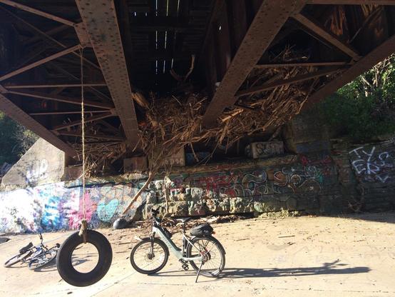 Two bikes and a tire swing under a rail bridge that has branches and debris stuck under it.
