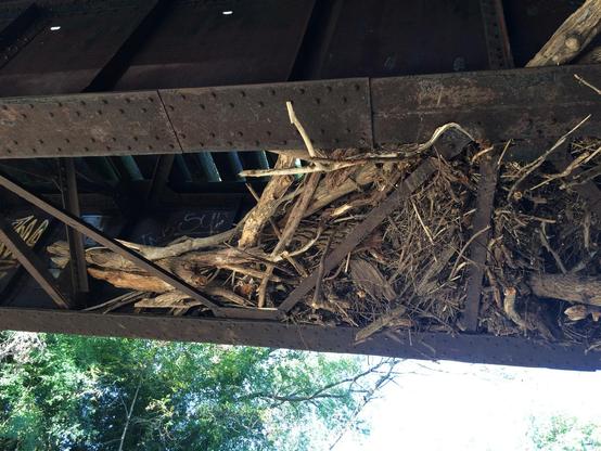 Debris stuck under a railway bridge.