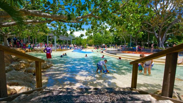 An artificial beach in Brisbane, Australia
A stretch of white sand caressed by the crystal-clear waters of a lagoon, surrounded by palm trees and subtropical vegetation.
