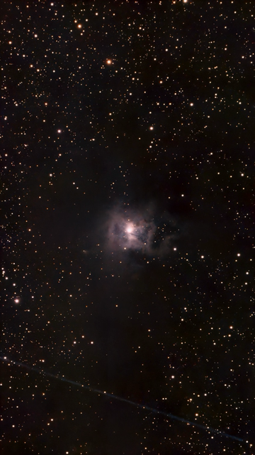 NGC 7023 The Iris Nebula - telescope processed image.  NGC 7023, the Iris Nebula, is a beautiful blue reflection nebula in Cepheus, about 1,300 light-years away. Its dust reflects light from a central star.