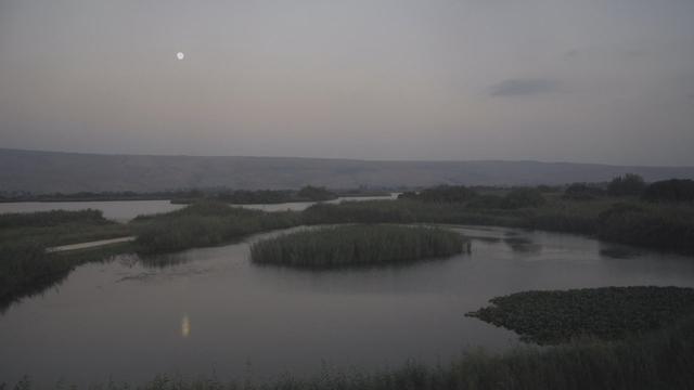 a pale moon rising over the golan heights in the background and the hula reserve lake in the foreground. the sky is banded in pale pink and indigo
