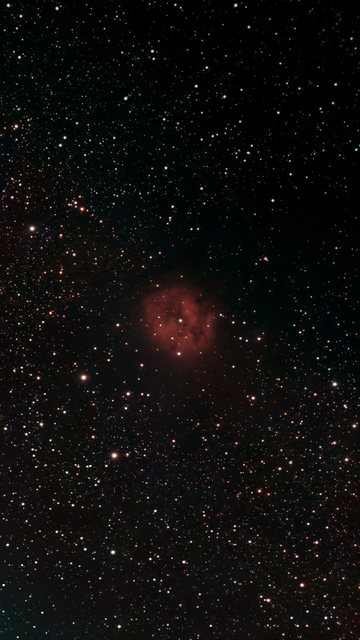 IC 5146 The Cocoon Nebula - telescope processed image.  IC 5146, the Cocoon Nebula in Cygnus, is a stellar nursery (~15 light-years wide) with emission, reflection, and dark nebulae where new stars are forming. 