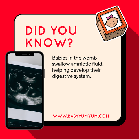 👶 Baby’s first sips are helping their tummy grow strong! 🍼💪  #BabyYumYum #BYY #DidYouKnow #PregnancyFacts #WombLife #BabyDevelopment #ExpectingMom #ParentingTips #GrowingBaby