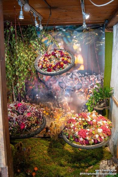 A display of flowers creatively arranged inside tires, showcasing a variety of colorful blooms. The image features a mix of houseplants and flowers in flowerpots, adding a touch of nature to an indoor setting.  The flowers are placed in different parts of the tires, creating a visually appealing floral design. The composition includes plants and flowers in pots, with a focus on the vibrant colors and textures. This unique display would be perfect for a garden shop or as a decorative piece in a …