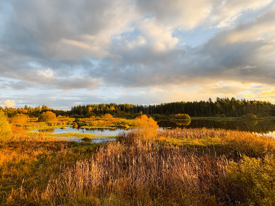 Herbstlandschaft