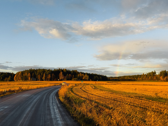 Regenbogen über Feld